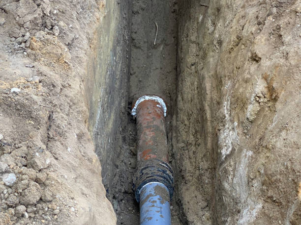 Best Flood restoration services  in Tawas City, MI