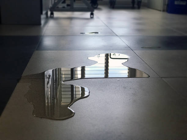 Best Professional water damage repair  in Tawas City, MI