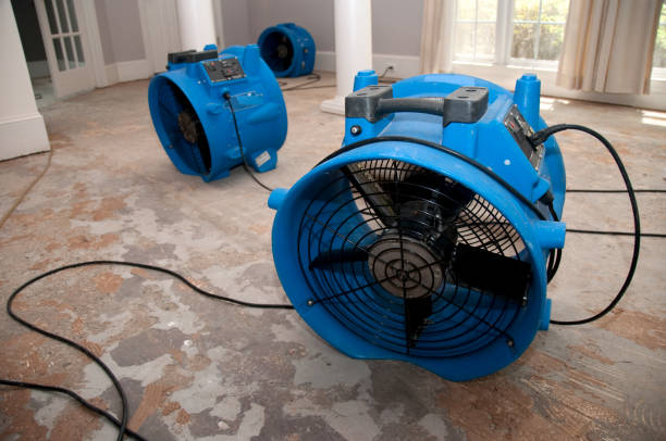 Best Local water damage restoration  in Tawas City, MI