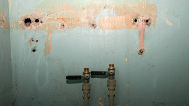 Best Flood damage cleanup  in Tawas City, MI
