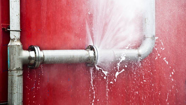 Best Residential water damage restoration  in Tawas City, MI